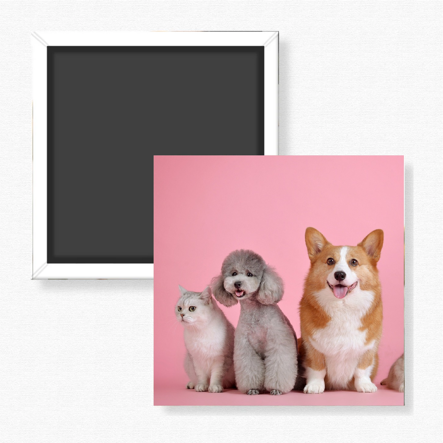 Pet Custom Photo Magnets